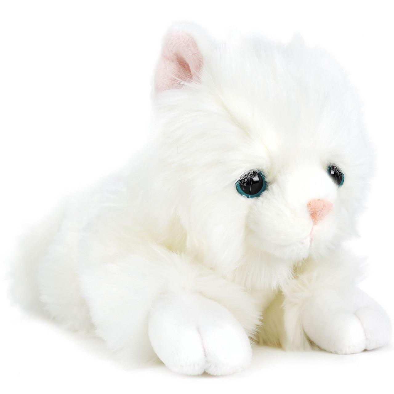 Puff The Persian Cat